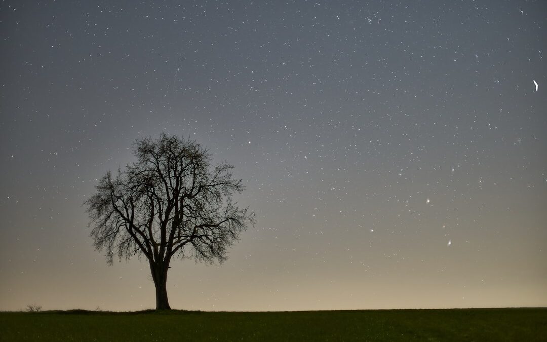 Ritiri residenziali di costellazioni familiari in Umbria